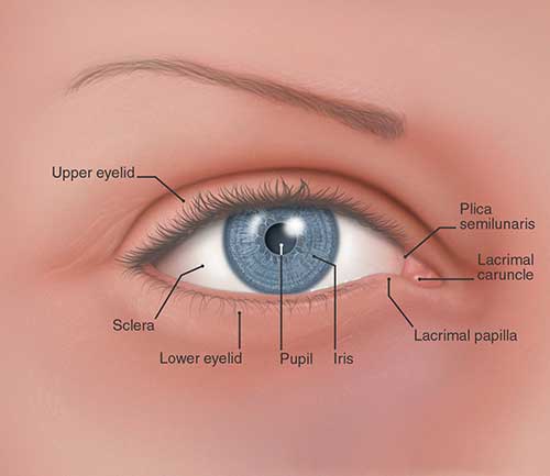 eyelid reconstruction surgery